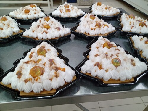 IMG-20211223-WA0005.jpeg